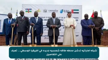 شركة إماراتية تدشن محطة طاقة شمسية جديدة في إفريقيا الوسطى… تعرف على التفاصيل